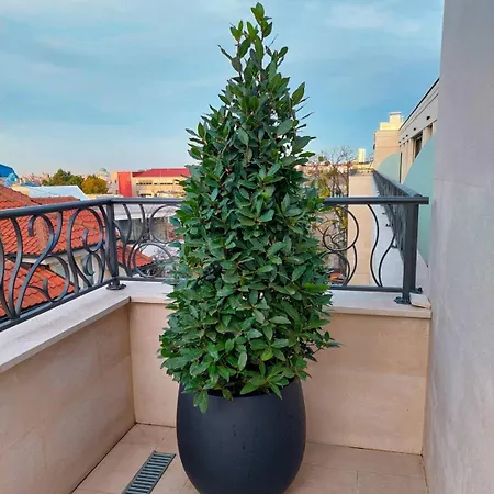 Unique Premium Penthouse With And Gym In Dedinje Apartman *