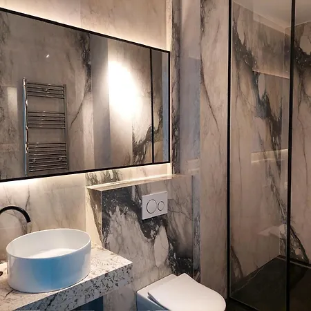 Unique Premium Penthouse With And Gym In Dedinje Belgrád