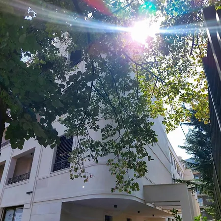 公寓 Unique Premium Penthouse With And Gym In Dedinje 贝尔格莱德