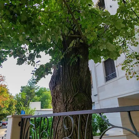 Unique Premium Penthouse With And Gym In Dedinje