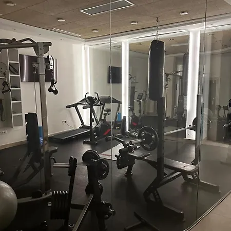 Apartman Unique Premium Penthouse With And Gym In Dedinje *