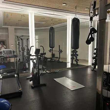 Unique Premium Penthouse With And Gym In Dedinje Apartman Belgrád