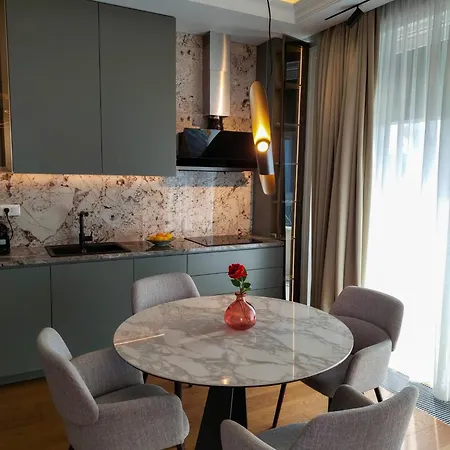 Unique Premium Penthouse With And Gym In Dedinje Apartman