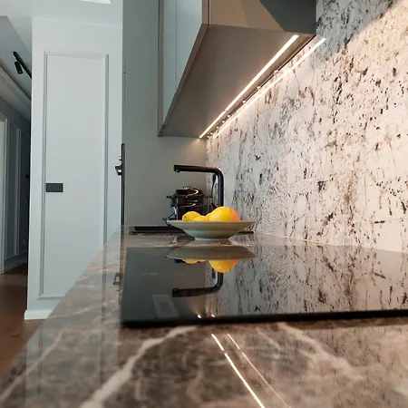 Unique Premium Penthouse With And Gym In Dedinje Apartman *