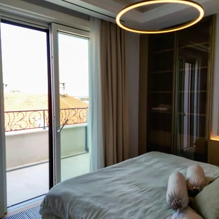 Unique Premium Penthouse With And Gym In Dedinje