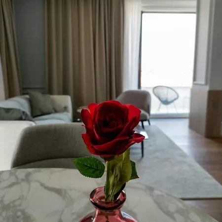 Unique Premium Penthouse With And Gym In Dedinje