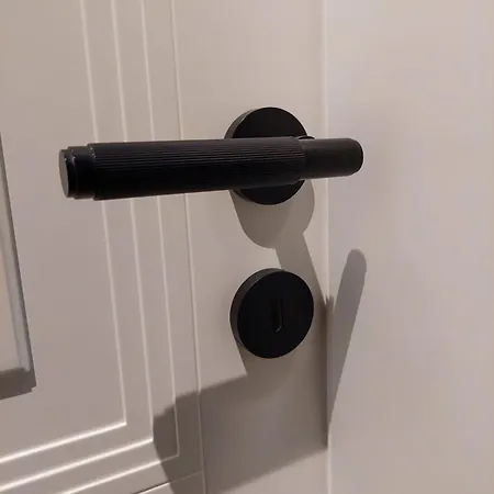 Unique Premium Penthouse With And Gym In Dedinje *