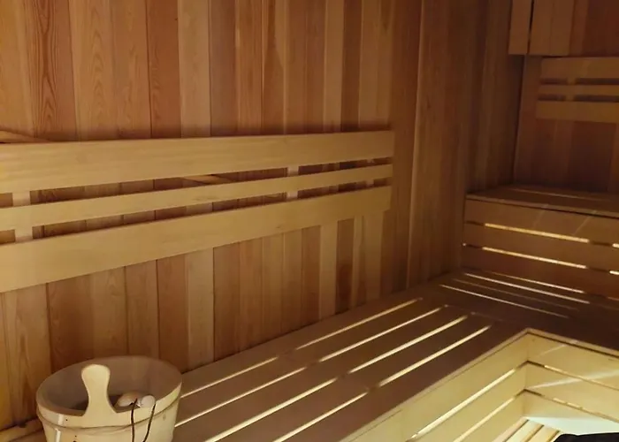 公寓 Unique Premium Penthouse With And Gym In Dedinje *