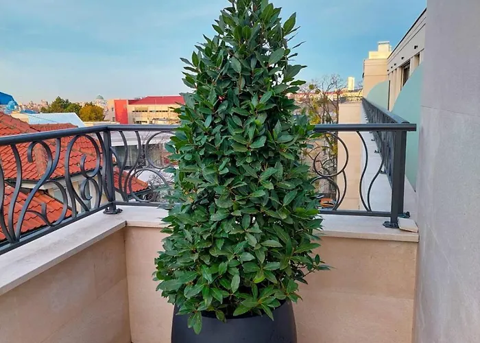 Unique Premium Penthouse With And Gym In Dedinje 公寓 *