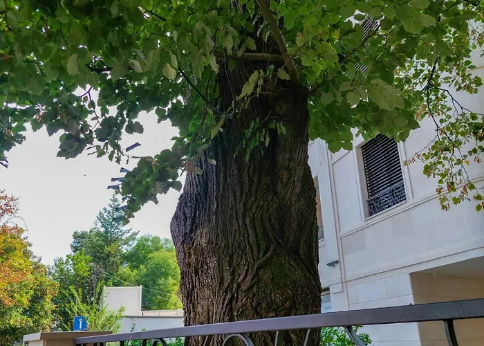 Unique Premium Penthouse With And Gym In Dedinje