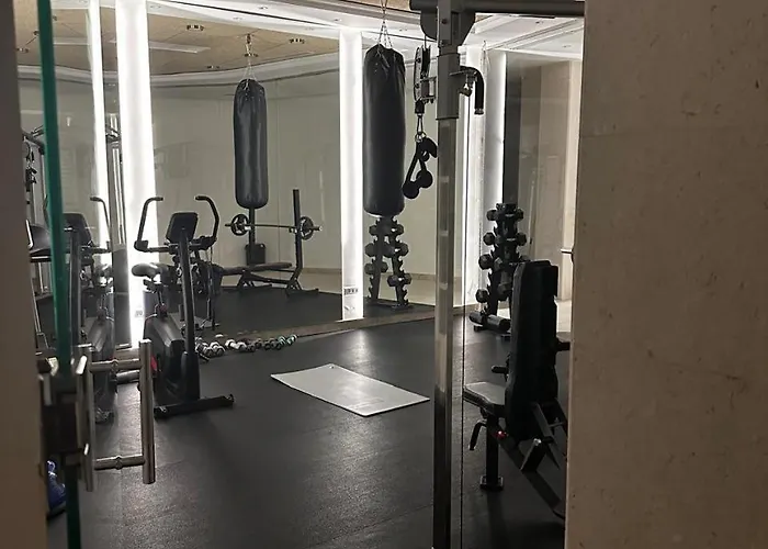 公寓 Unique Premium Penthouse With And Gym In Dedinje