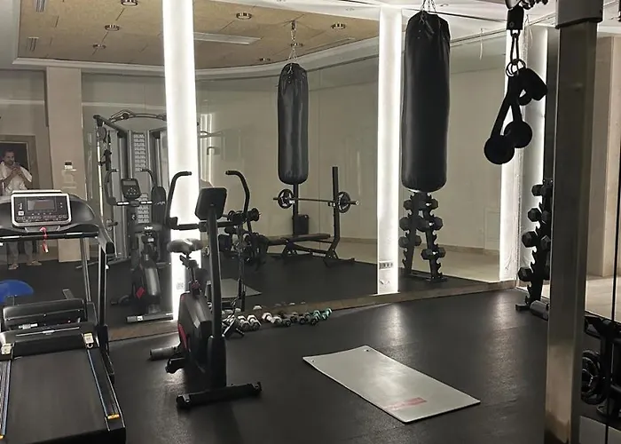 Unique Premium Penthouse With And Gym In Dedinje 公寓 贝尔格莱德