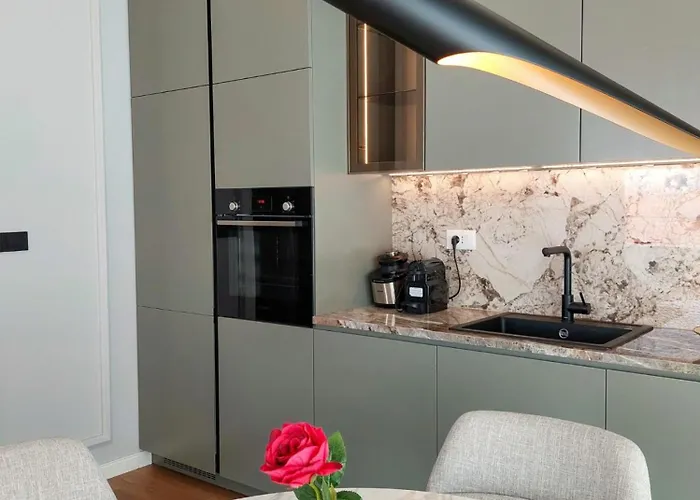 公寓 Unique Premium Penthouse With And Gym In Dedinje