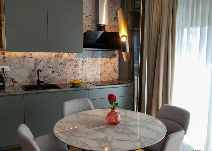 Unique Premium Penthouse With And Gym In Dedinje 公寓