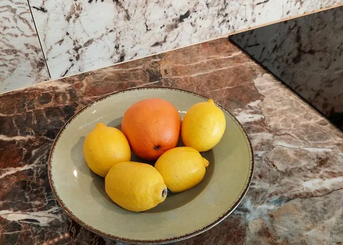 Unique Premium Penthouse With And Gym In Dedinje *