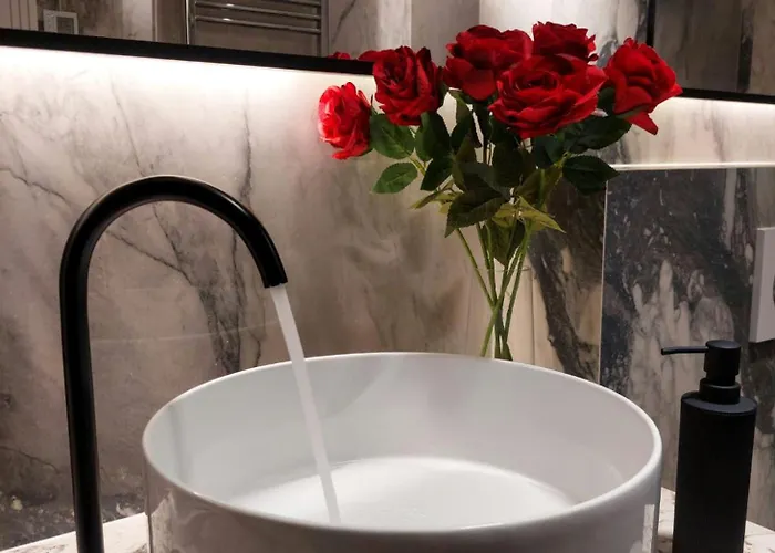 公寓 Unique Premium Penthouse With And Gym In Dedinje 贝尔格莱德