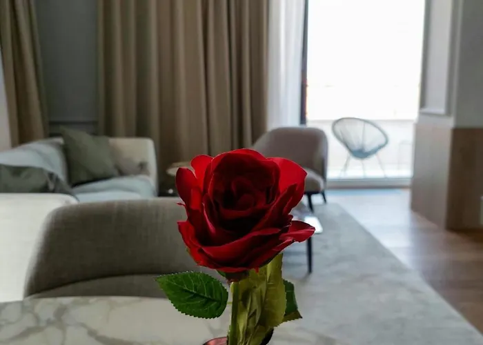 Unique Premium Penthouse With And Gym In Dedinje